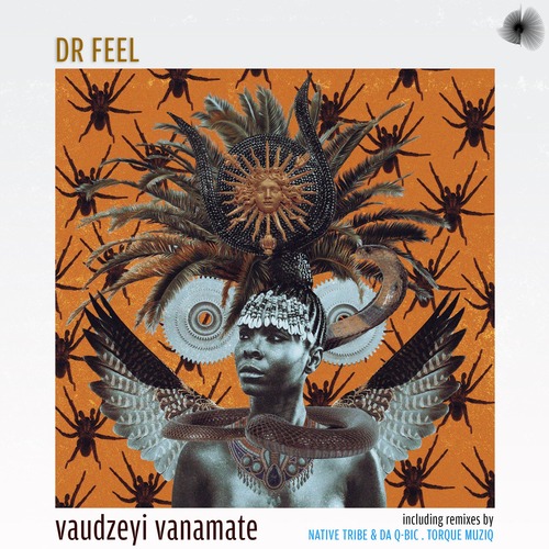 Dr Feel – Vaudzeyi Vanamate [BOS312]